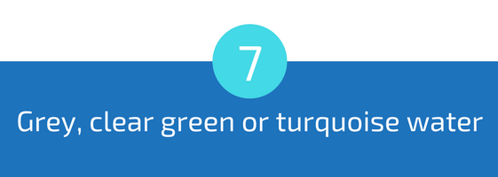 grey clear green or turqoise colour color pool water troubleshooting pools guide 25 most common pool water problems