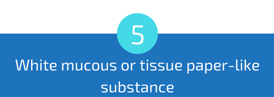 white mucous or tissue paper-like substance troubleshooting pools guide 25 most common pool water problems