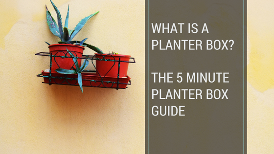 What is a planter box?