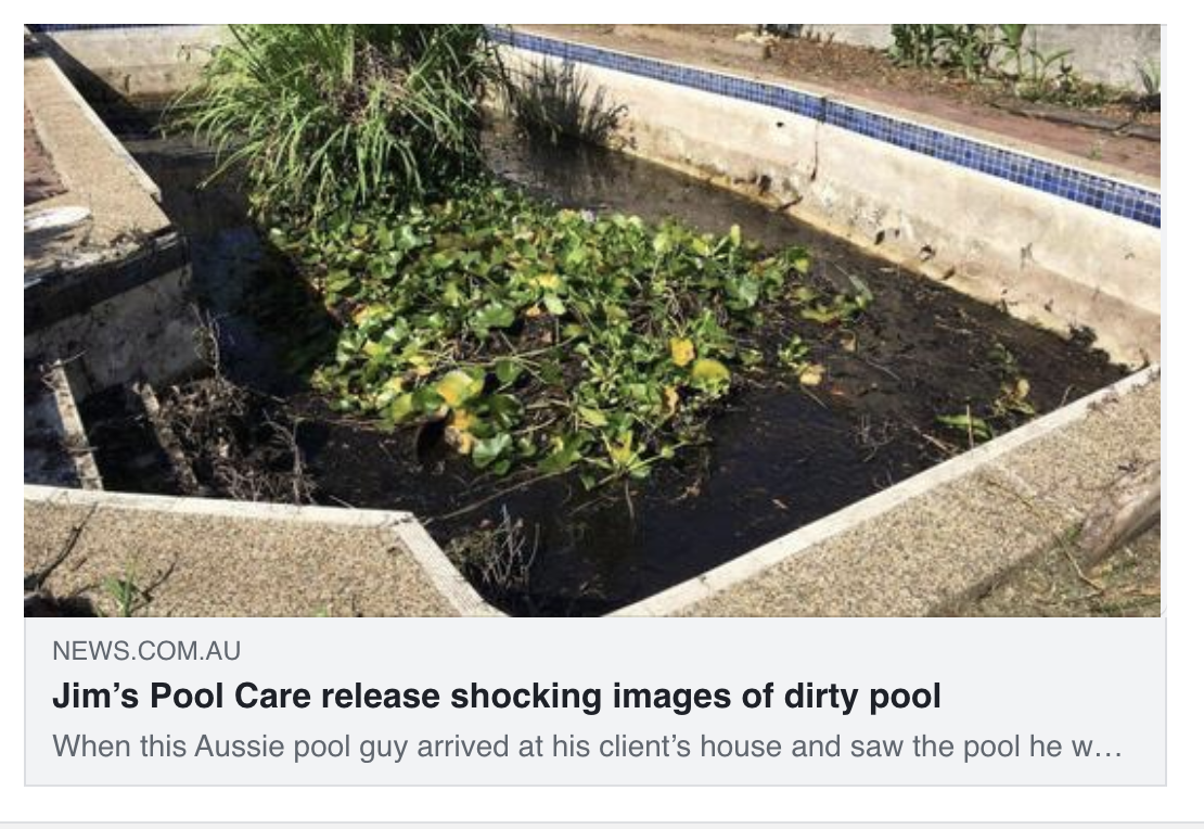 worst-green-pool-jimspoolcare-news-article-poolsafetysolutions-blog